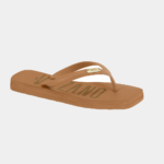 6554 100 camel